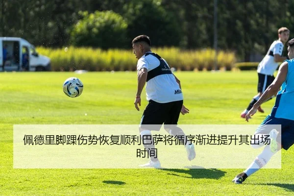 佩德里脚踝伤势恢复顺利巴萨将循序渐进提升其出场时间 - 365 bet